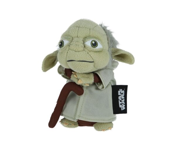 Yoda - Fragen Du hast?